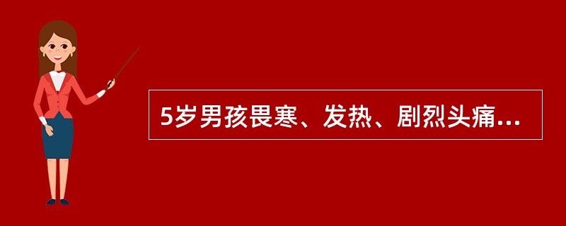 5岁男孩畏寒、发热、剧烈头痛、喷射性呕吐2天。体查：间有躁动不安，全身有散在性出