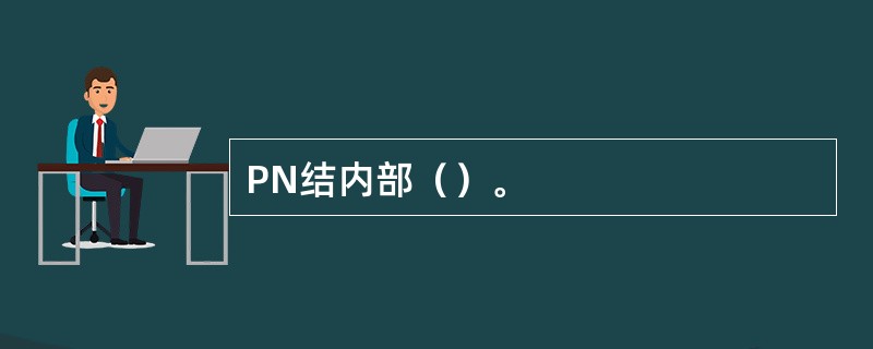 PN结内部（）。