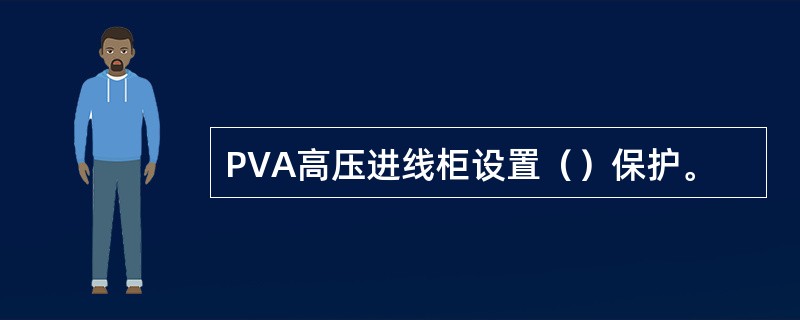 PVA高压进线柜设置（）保护。