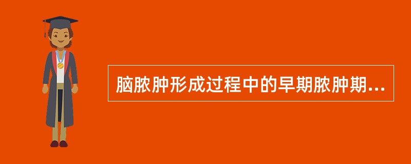 脑脓肿形成过程中的早期脓肿期时间在（）。