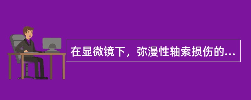 在显微镜下，弥漫性轴索损伤的特征性病理改变是（）。