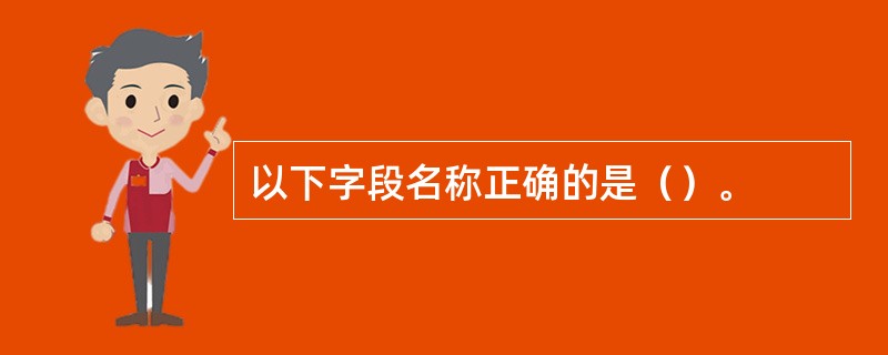 以下字段名称正确的是（）。
