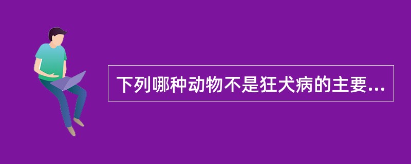 下列哪种动物不是狂犬病的主要传染源()