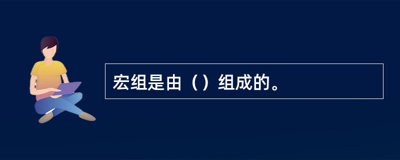 宏组是由（）组成的。