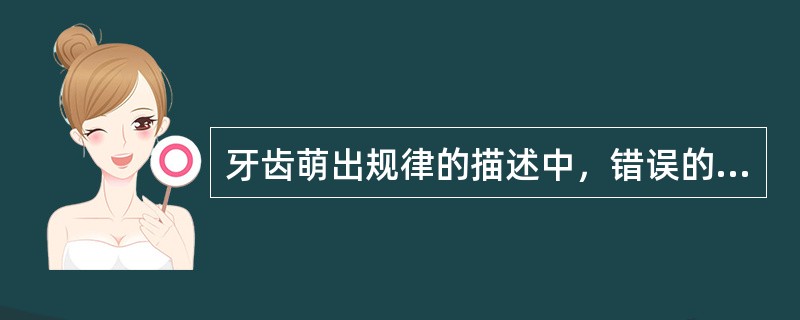 牙齿萌出规律的描述中，错误的是（）。