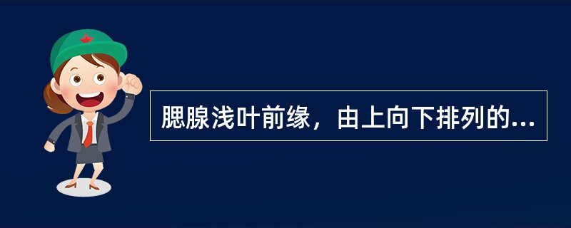 腮腺浅叶前缘，由上向下排列的解剖结构依次是（）。