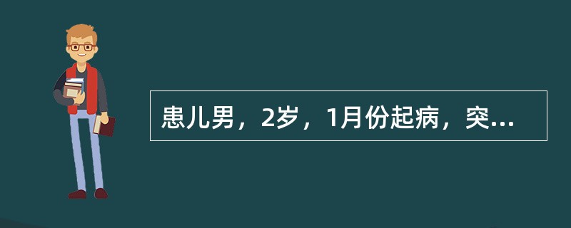 患儿男，2岁，1月份起病，突然高热、呕吐、烦躁8小时，伴皮疹2小时住院。体检：面