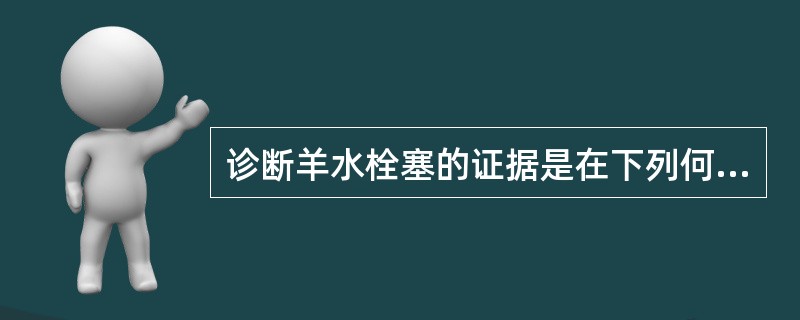 诊断羊水栓塞的证据是在下列何处发现羊水成分？（）