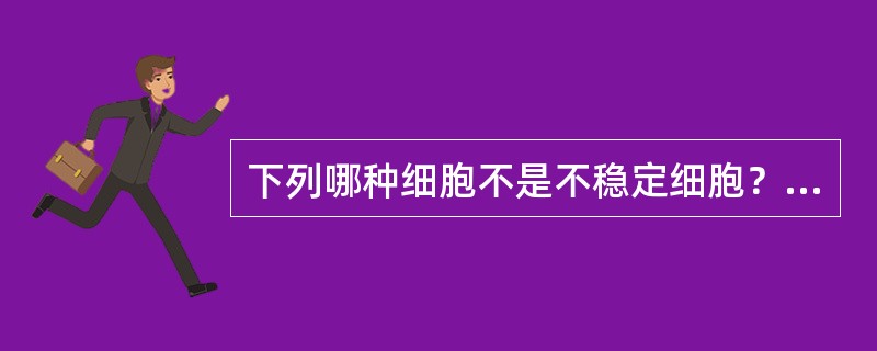 下列哪种细胞不是不稳定细胞？（）