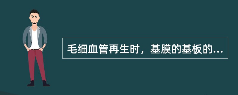 毛细血管再生时，基膜的基板的形成成分有（）。