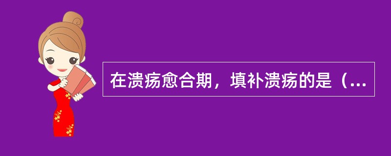 在溃疡愈合期，填补溃疡的是（）。