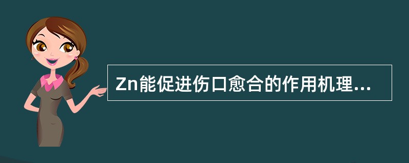 Zn能促进伤口愈合的作用机理可能是（）。