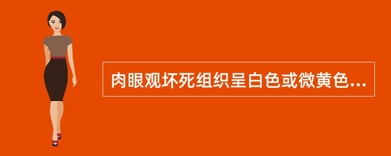 肉眼观坏死组织呈白色或微黄色、细腻，应考虑是（）。