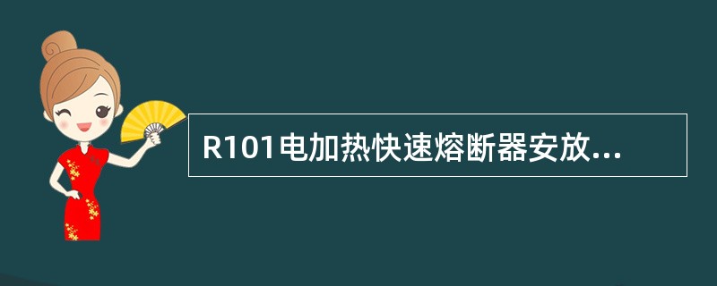 R101电加热快速熔断器安放在调功器电源输入端还是输出端？