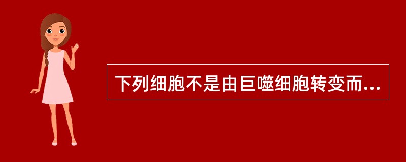 下列细胞不是由巨噬细胞转变而来的是（）。
