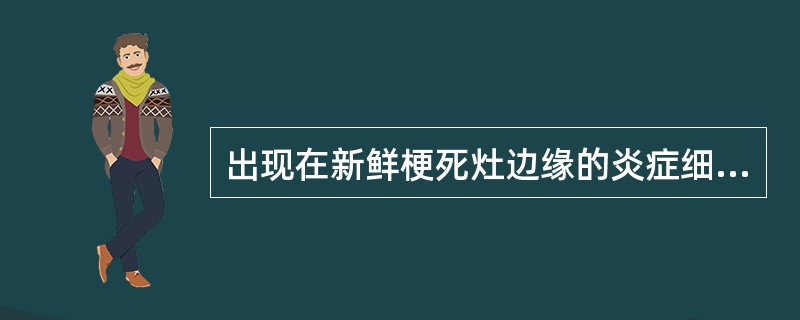 出现在新鲜梗死灶边缘的炎症细胞是（）。