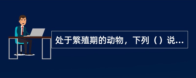 处于繁殖期的动物，下列（）说法是正确的。