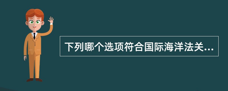 下列哪个选项符合国际海洋法关于船舶在公海上航行悬挂船旗的规则?