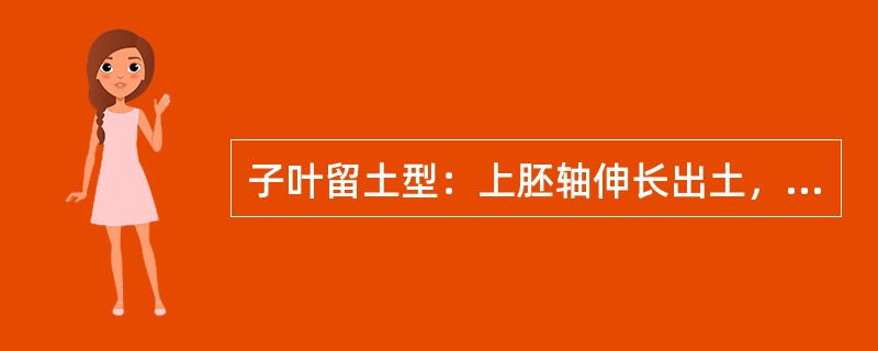 子叶留土型：上胚轴伸长出土，发芽时（），土壤上面的幼苗部分受到昆虫、低温等的伤害