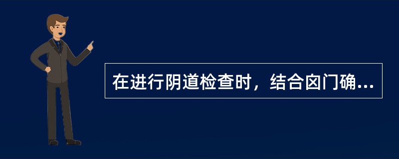 在进行阴道检查时，结合囟门确定胎方位有意义的颅缝是（）