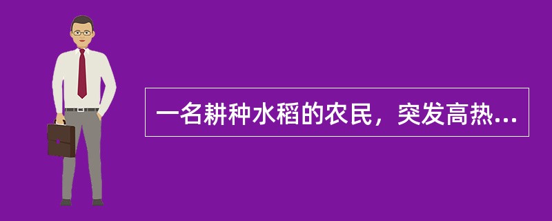 一名耕种水稻的农民，突发高热、乏力，伴有腓肠肌疼痛。查体：眼结膜出血及淋巴结肿大