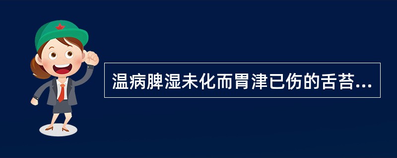 温病脾湿未化而胃津已伤的舌苔为（）