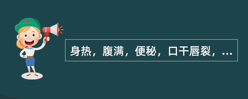 身热，腹满，便秘，口干唇裂，舌苔焦燥，其证是（）