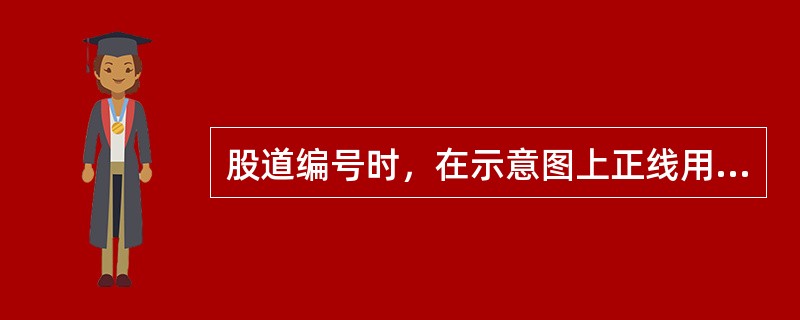 股道编号时，在示意图上正线用阿拉伯数字填记，站线用罗马数字填记。