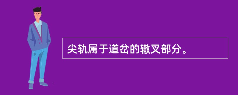 尖轨属于道岔的辙叉部分。