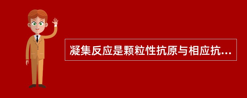 凝集反应是颗粒性抗原与相应抗体结合而出现的肉眼可见的凝集。