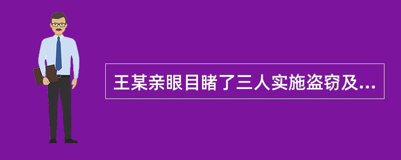王某亲眼目睹了三人实施盗窃及当场被公安机关抓获的过程。事后，公安民警找到王某取证
