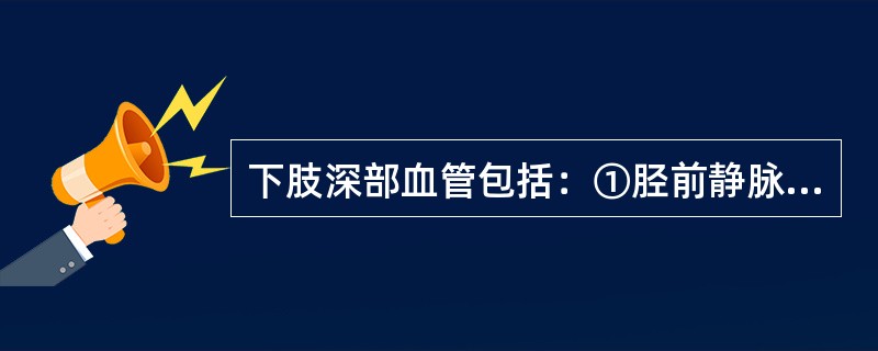 下肢深部血管包括：①胫前静脉②胭静脉③股总静脉④胫后静脉⑤股深静脉⑥股浅静脉