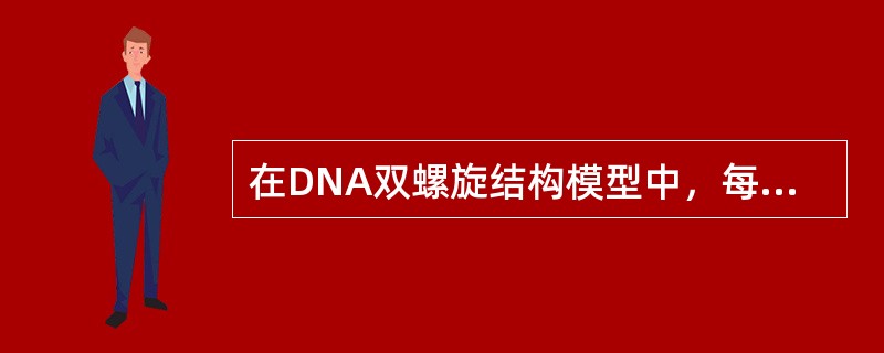 在DNA双螺旋结构模型中，每两个碱基对之间的相对旋转角度是（）。