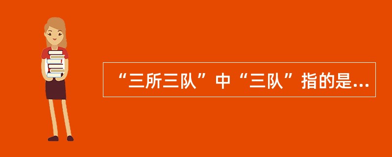 “三所三队”中“三队”指的是（）。