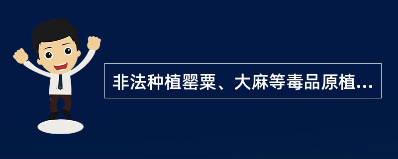 非法种植罂粟、大麻等毒品原植物的，一律强制铲除。有（）情形之一的，构成非法种植毒