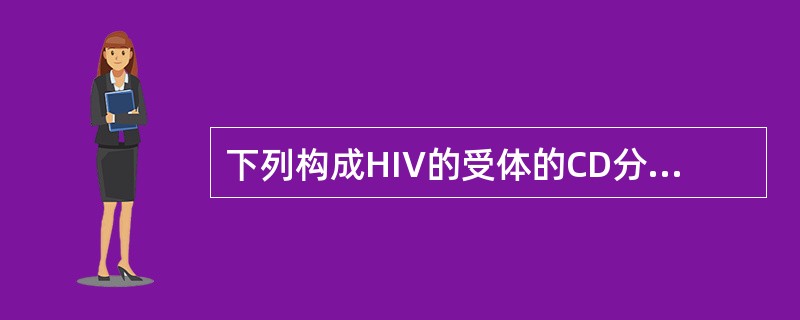 下列构成HIV的受体的CD分子为（）。
