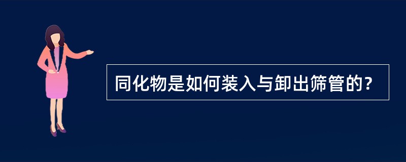 同化物是如何装入与卸出筛管的？
