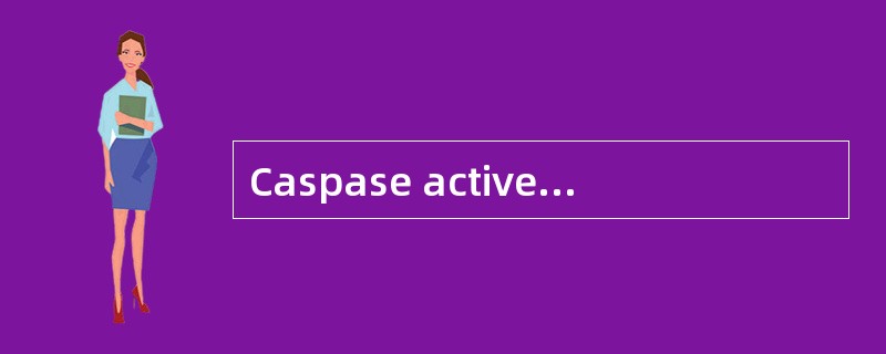 Caspase actived DNase , CAD (Caspase 活化的