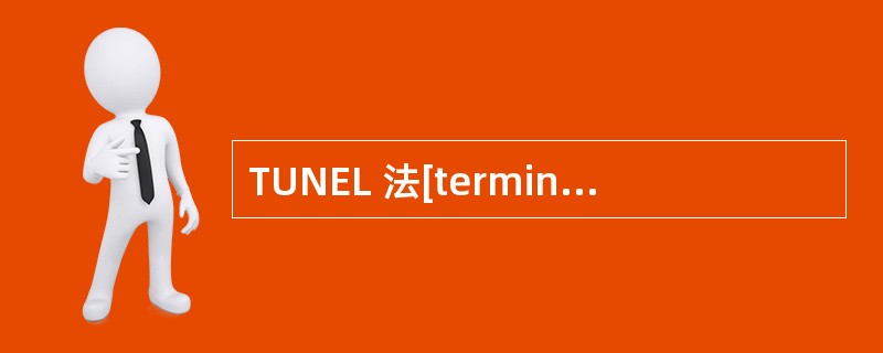 TUNEL 法[terminal dexynucleotidyl transfe