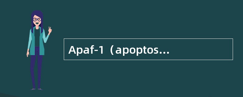Apaf-1（apoptosis protease activating fac
