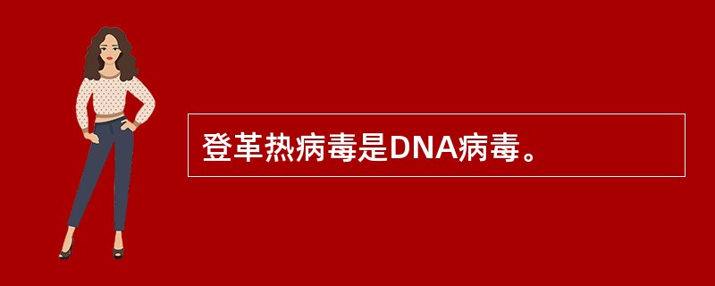 登革热病毒是DNA病毒。