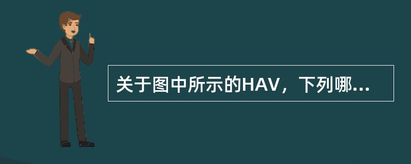关于图中所示的HAV，下列哪项说法是错误的()