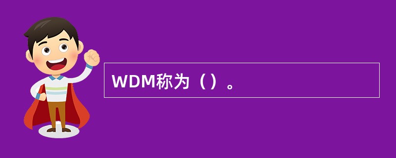 WDM称为（）。