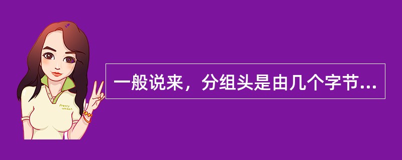 一般说来，分组头是由几个字节组成的？