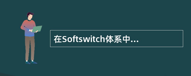 在Softswitch体系中，可直接接入数据终端，下面那些设备属于数据终端（）。