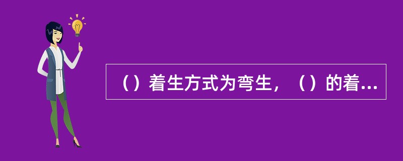 （）着生方式为弯生，（）的着生位置为偏生。