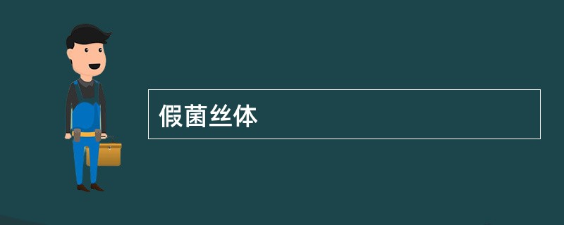 假菌丝体