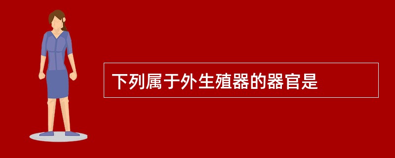 下列属于外生殖器的器官是