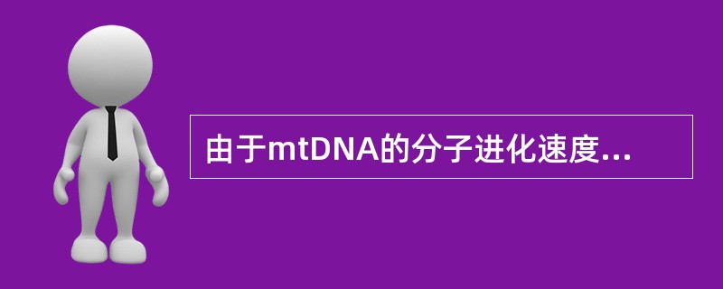 由于mtDNA的分子进化速度比核DNA快，因此mtDNA分子的分析对真菌种内和种
