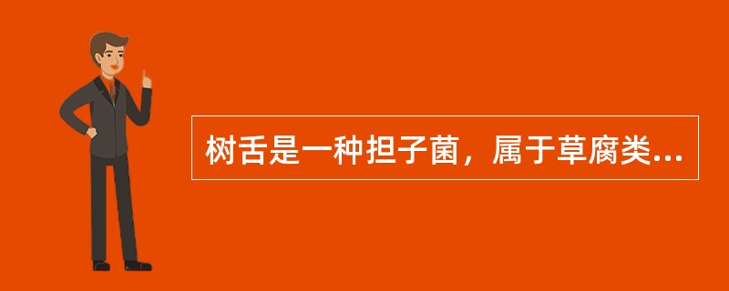 树舌是一种担子菌，属于草腐类真菌。（）